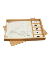 BO029.jpg
